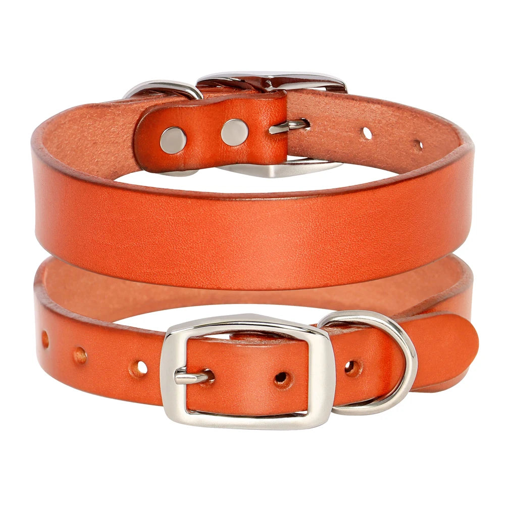 Genuine Leather Dog Collar & Leash Set – Adjustable for Small, Medium & Large Dogs and Cats (XS–XL)