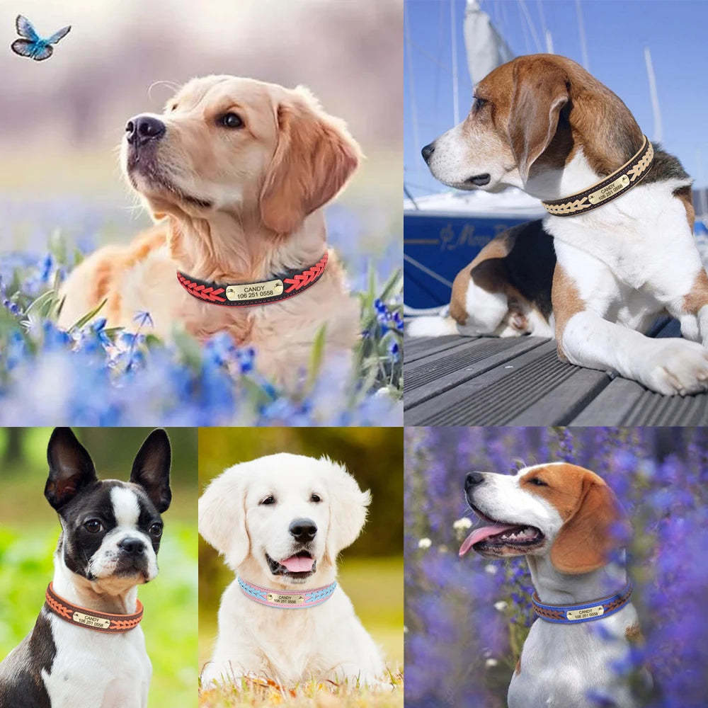 Personalized Leather Dog Collar with Engraved Nameplate – Adjustable Anti-Lost ID Tag for Small, Medium & Large Dogs