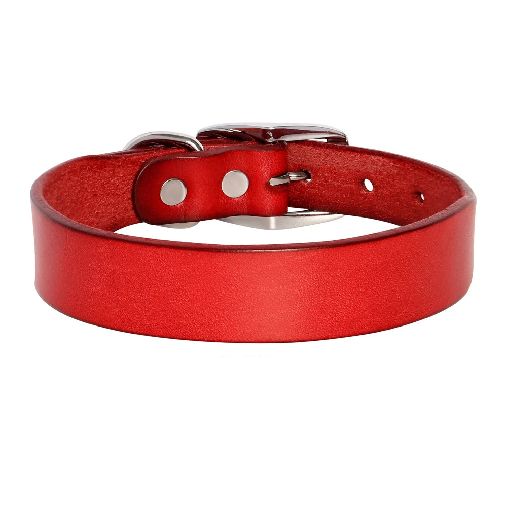 Genuine Leather Dog Collar & Leash Set – Adjustable for Small, Medium & Large Dogs and Cats (XS–XL)