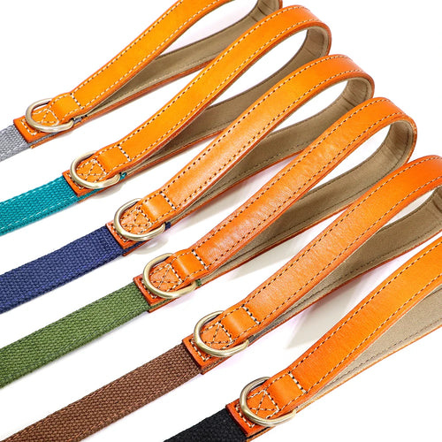 150cm Dog Walking Leash – Durable Nylon Lead Rope with PU Leather Handle