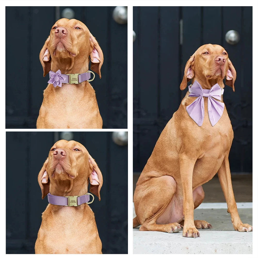 Personalized Silk Dog Collar with Bowtie & Flower – Custom Engraved ID Tag | Adjustable Wedding Collar for Small, Medium & Large Dogs