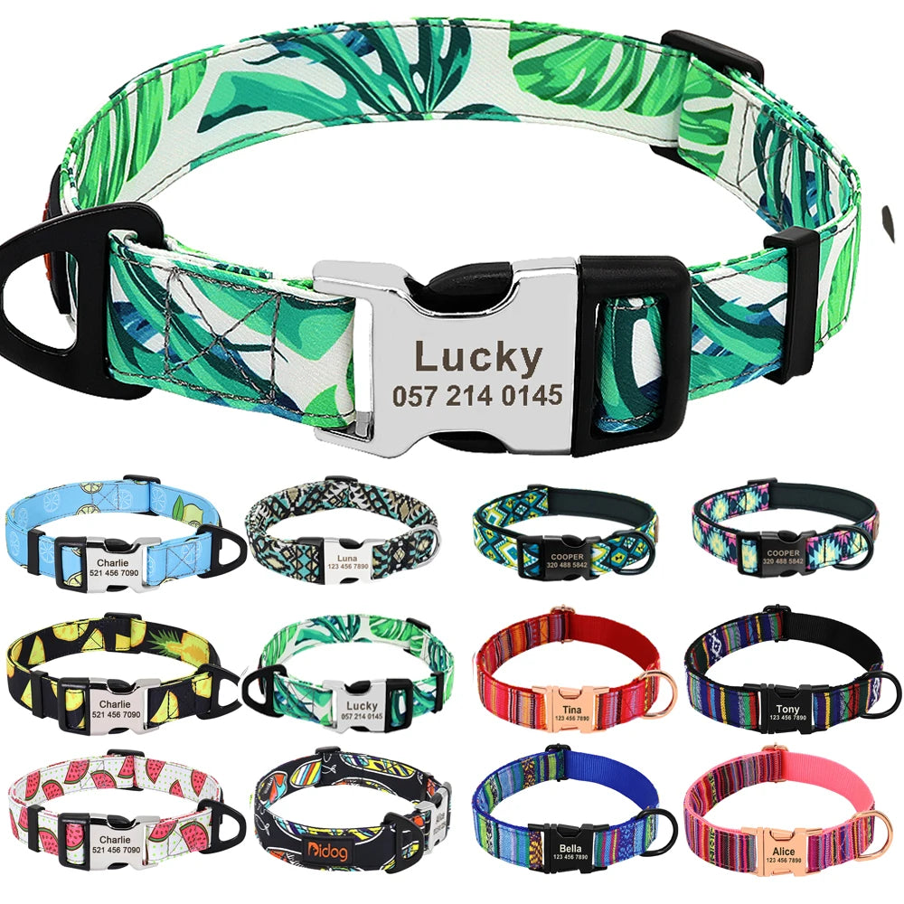 Personalized Nylon Dog Collar with Engraved Nameplate – Custom ID Tag for Small, Medium & Large Dogs