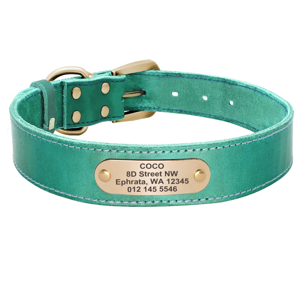 🦴 Custom Leather Dog Collar & Leash Set — Personalized for Safety & Style 🐾