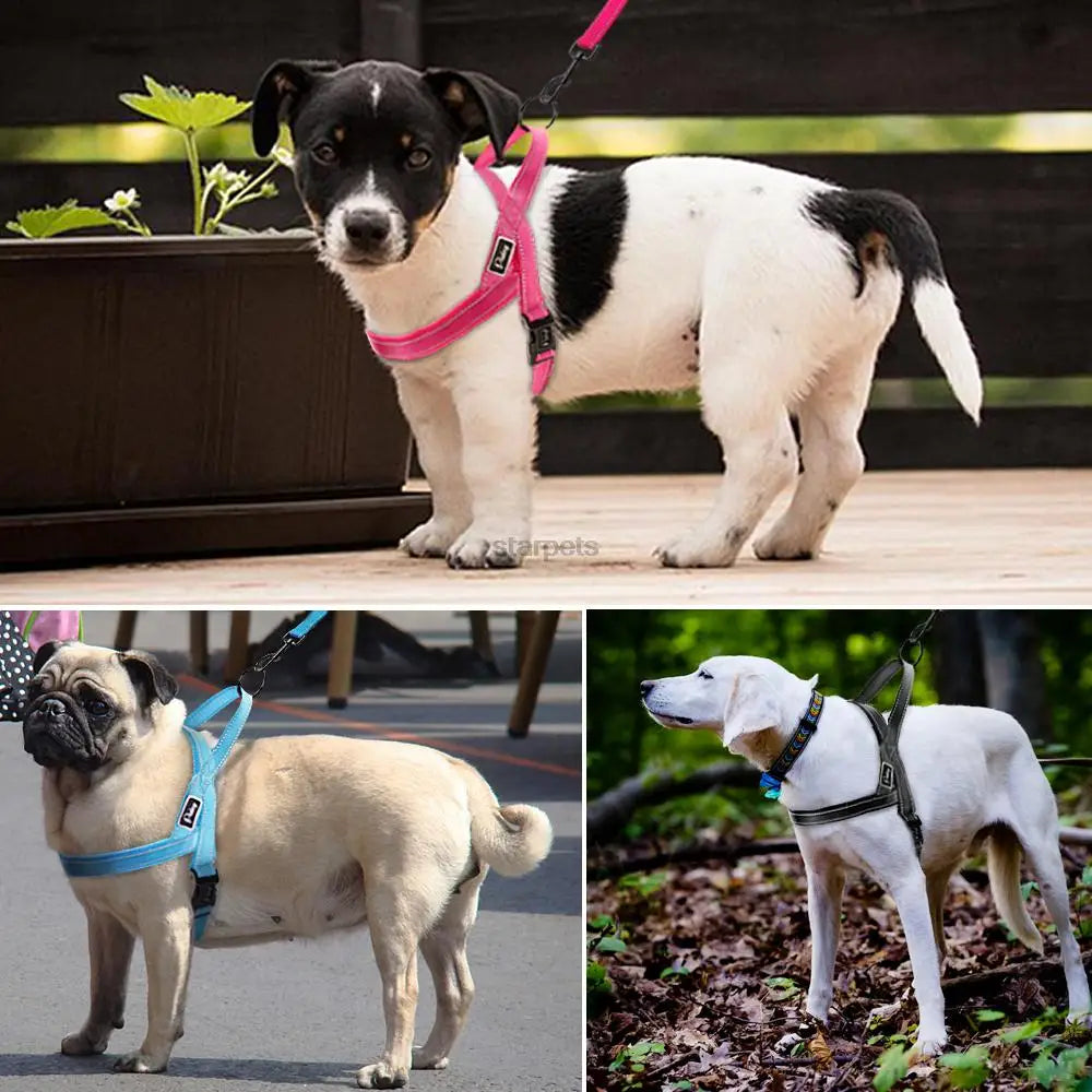 No-Pull Quick Fit Dog Harness – Reflective Adjustable Vest with Padded Mesh for Small, Medium & Large Dogs