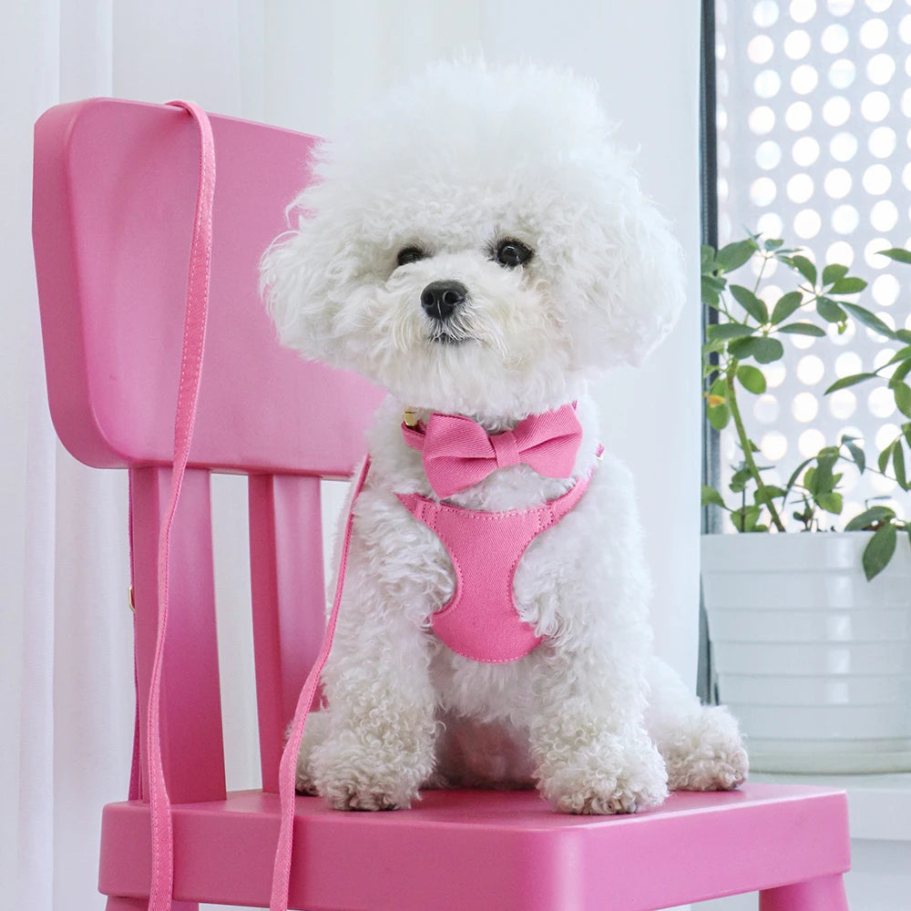 Small Dog Harness & Leash Set – Adjustable Pet Vest with Bowknot Collar for Small & Medium Dogs