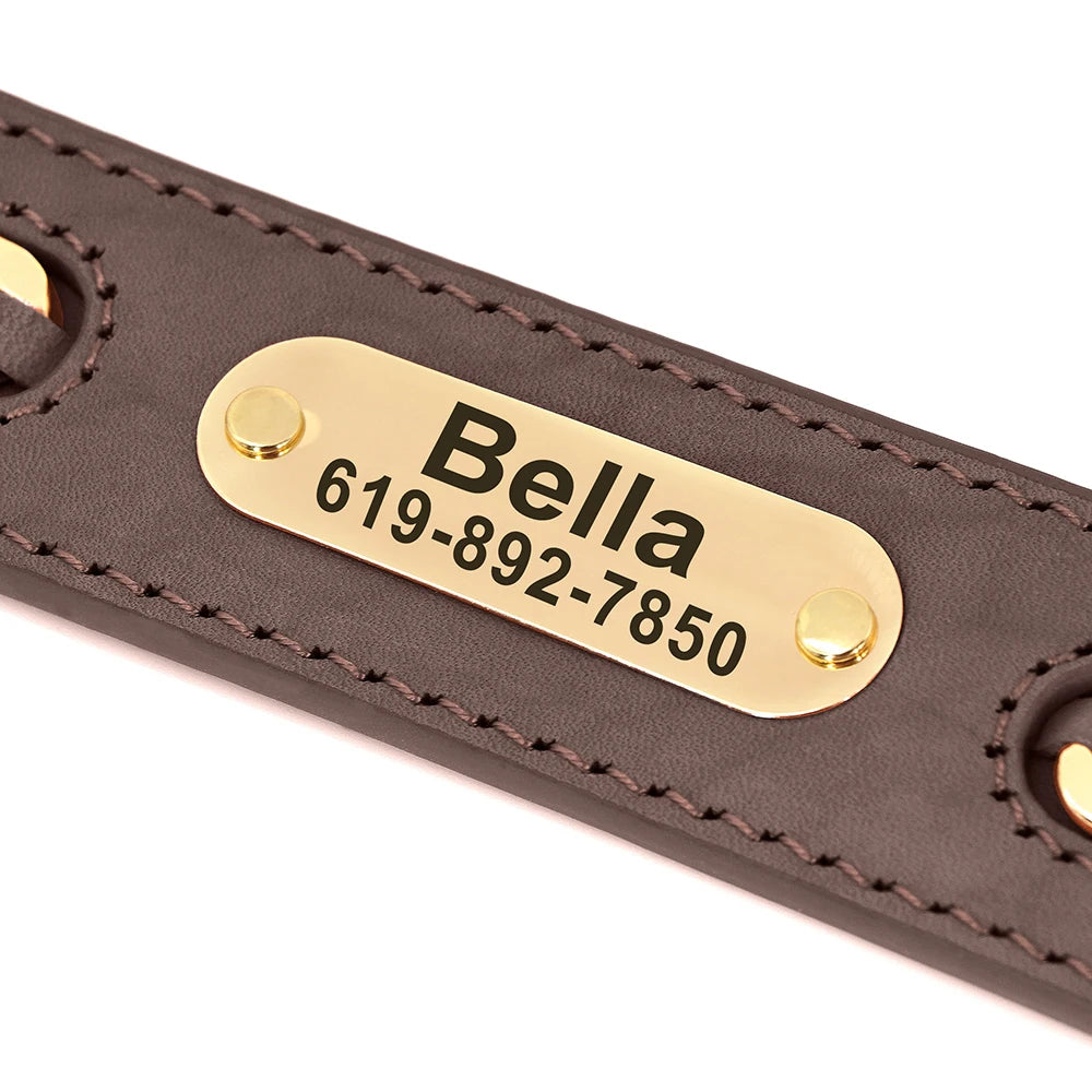 Custom Leather Dog Collar with Personalized Nameplate – Stylish & Durable ID Tag for Small to Large Dogs