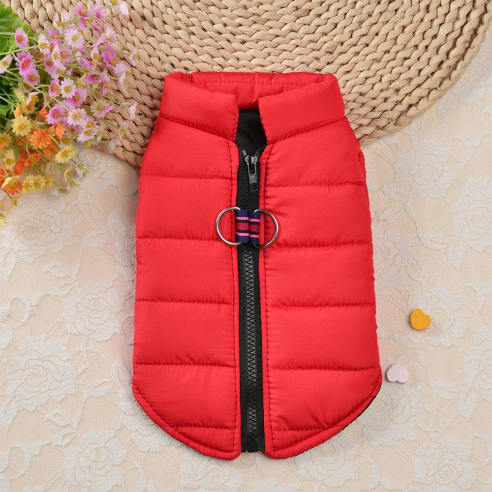 Warm Cotton Dog Vest – Winter Jacket for Small & Medium Dogs