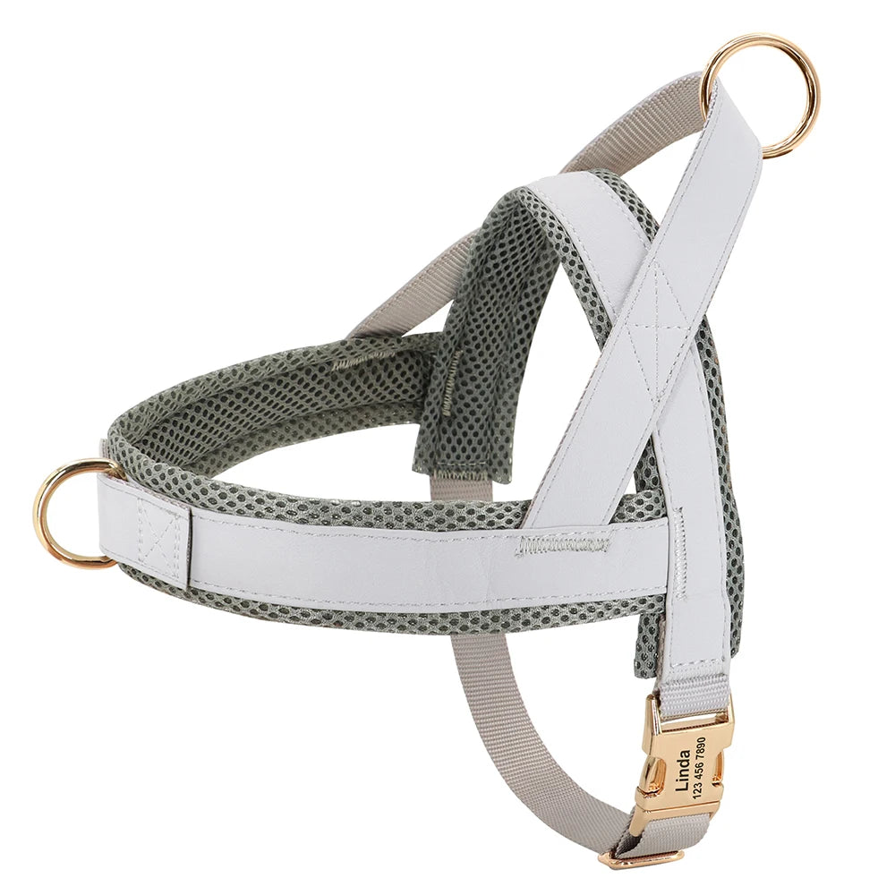 Personalized Nylon Dog Harness – No Pull Adjustable Vest with Free Engraving for Medium & Large Dogs