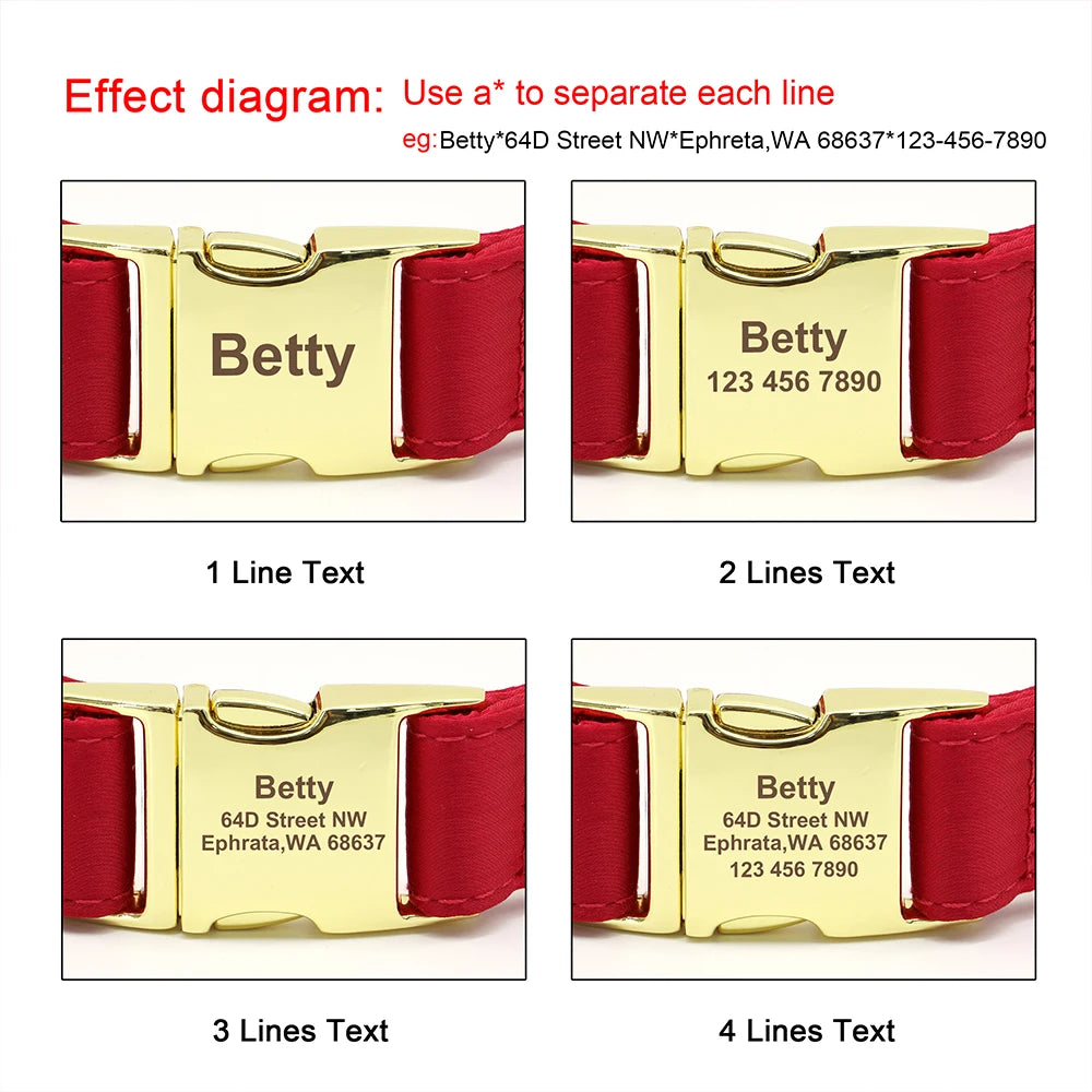 Engraved Dog Collar – Personalized ID Tag for Dogs & Cats (XS–L)