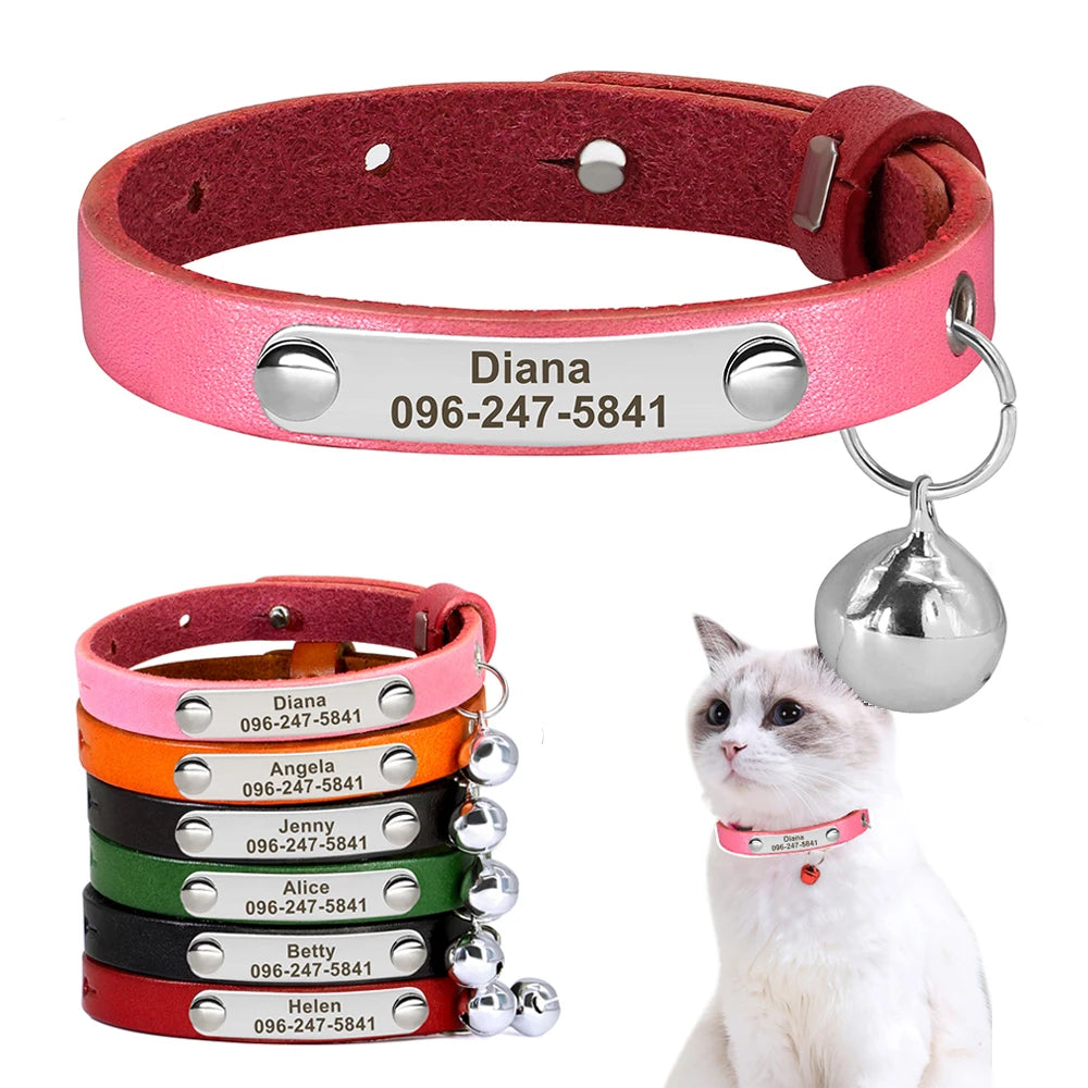 Personalized Nameplate Cat Collar – Custom Engraved Safety Collar with Bell for Cats & Kittens