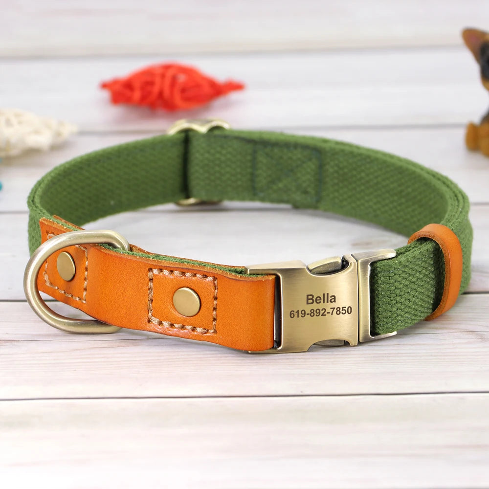 Nylon Custom Dog Collar & Leash Set – Personalized with Leather Nameplate