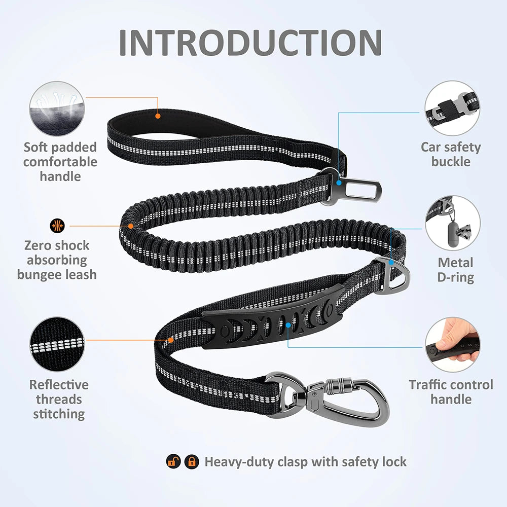 Reflective Dog Leash with Car Seat Belt Clip – Durable Lead for Medium & Large Dogs (Running, Walking, Training)