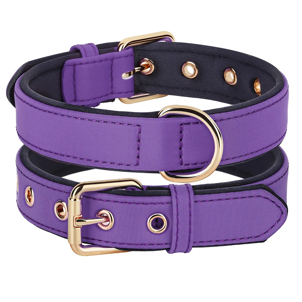 Waterproof Nylon Dog Collar – Soft Padded & Breathable Adjustable Collar for Small & Medium Dogs