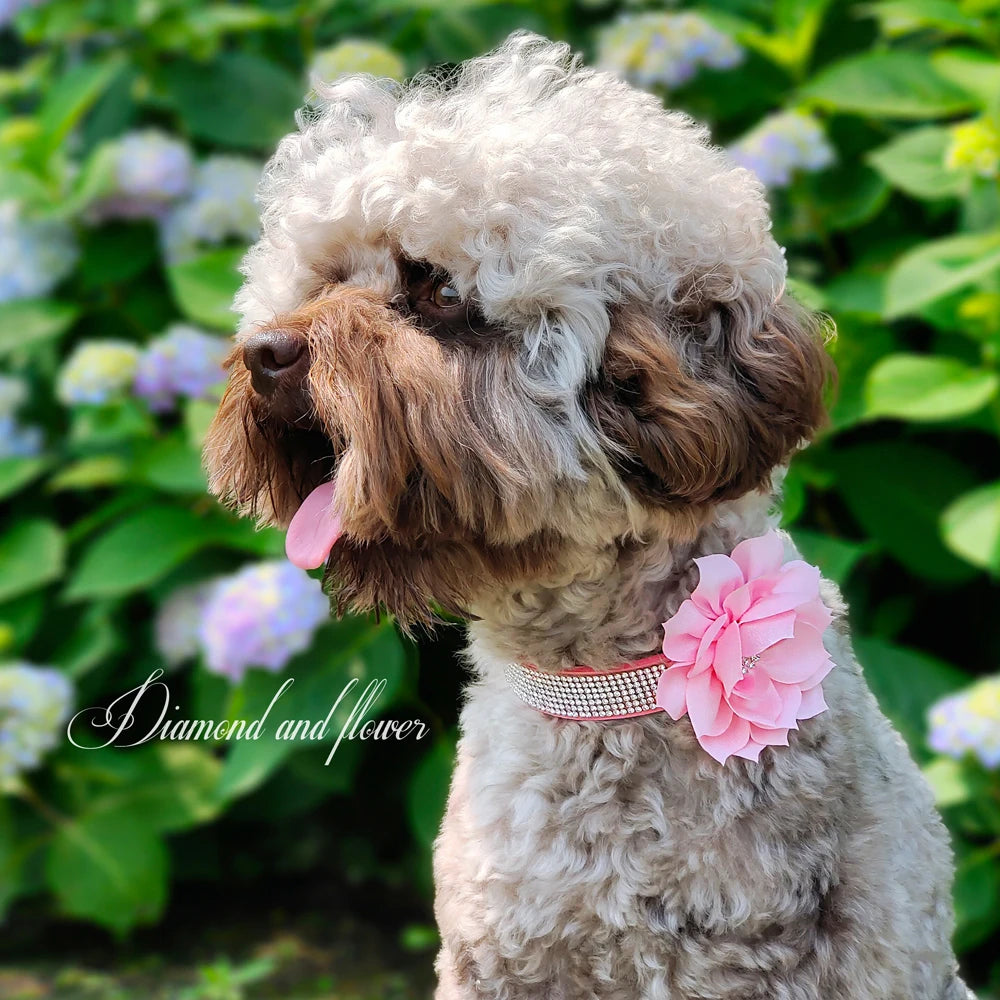 Bling Rhinestone Dog Collar with Flower – Sparkly Crystal Puppy & Cat Necklace for Chihuahua, Yorkie, Poodle