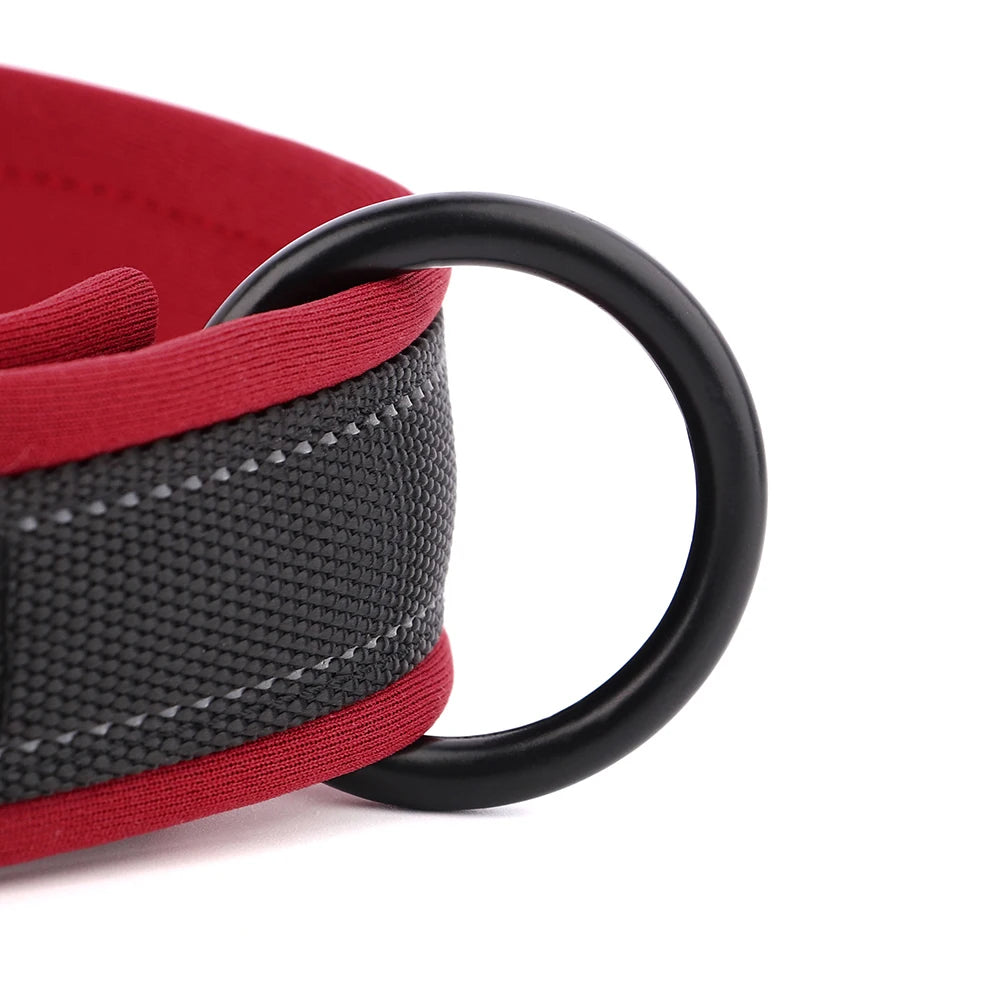Adjustable Dog Collar - Personalized Reflective Padded Collar with Free Engraved ID Tag for Small, Medium & Large Dogs (Pitbull, Pug & More)