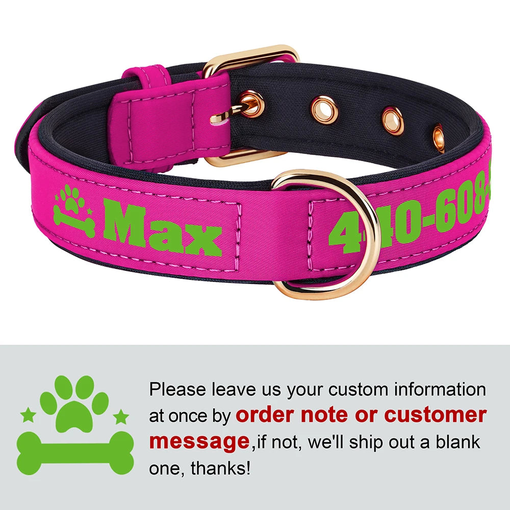 Custom Leather Dog Collar – Free Name & Number | Soft Padded & Adjustable
