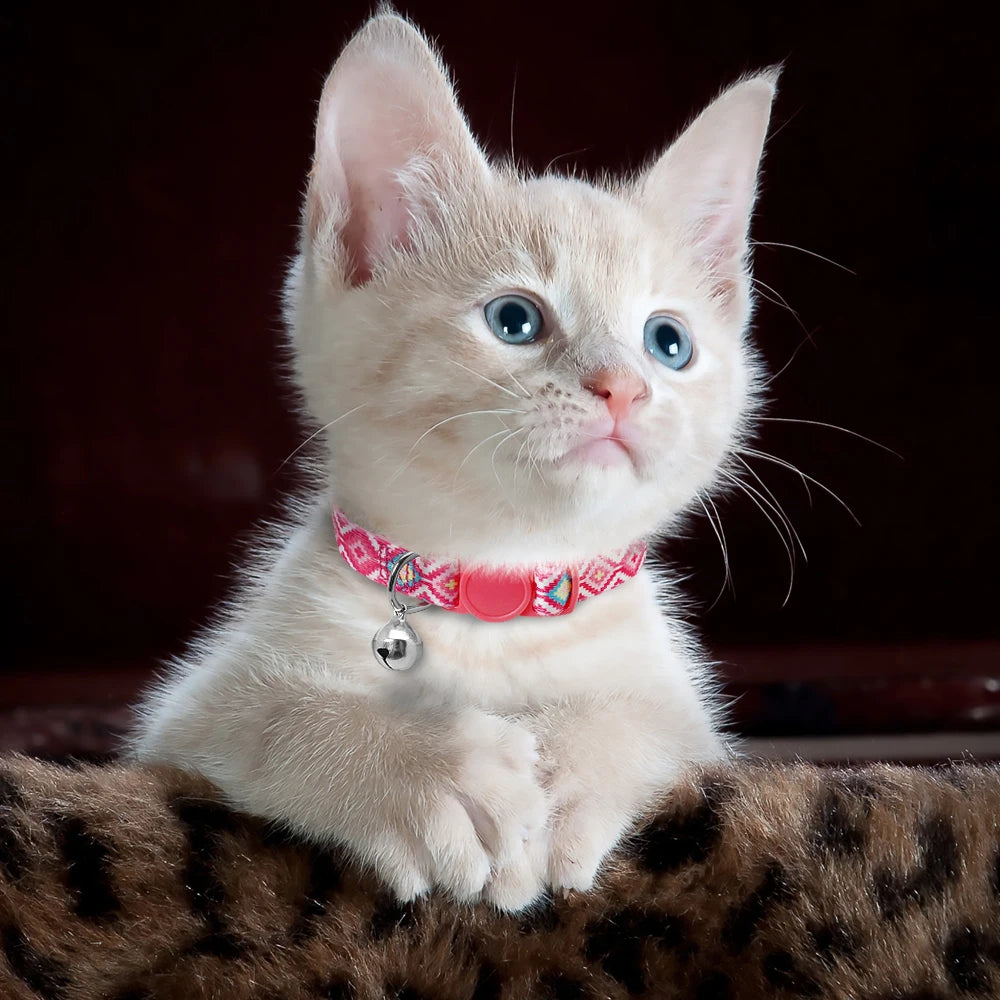 Cute Fruit Print Cat Collar with Bell – Adjustable Quick Release Safety Collar for Cats & Kittens