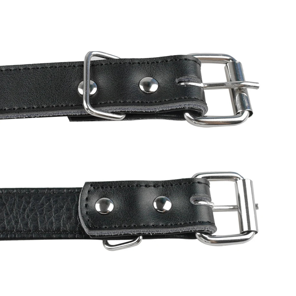 Spiked Studded Leather Dog Collar – Adjustable Anti-Bite Bulldog Collar for Small, Medium & Large Dogs