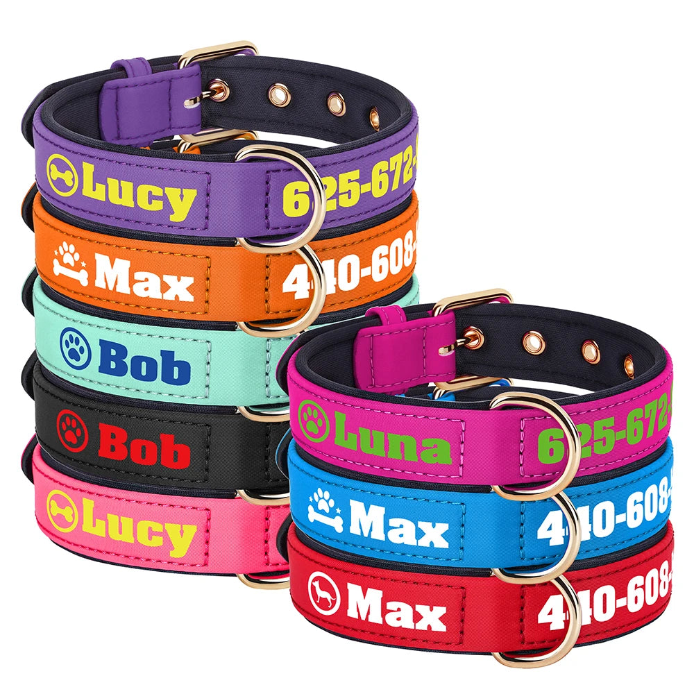 Custom Leather Dog Collar – Free Name & Number | Soft Padded & Adjustable