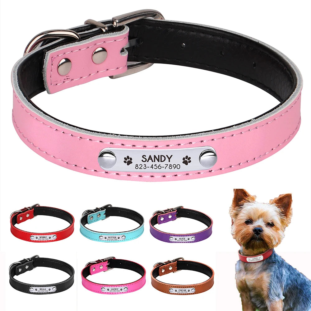 Custom Engraved Dog Collar – Personalized Puppy & Cat Collar with Nameplate – Adjustable for Small to Medium Dogs & Cats – Chihuahua, Pug, Yorkie