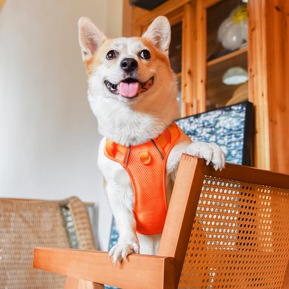 No Pull Nylon Mesh Dog Harness Breathable Pet Harnesses Vest For Medium Large Dogs Reflective Dog Chest Strap French Bulldog