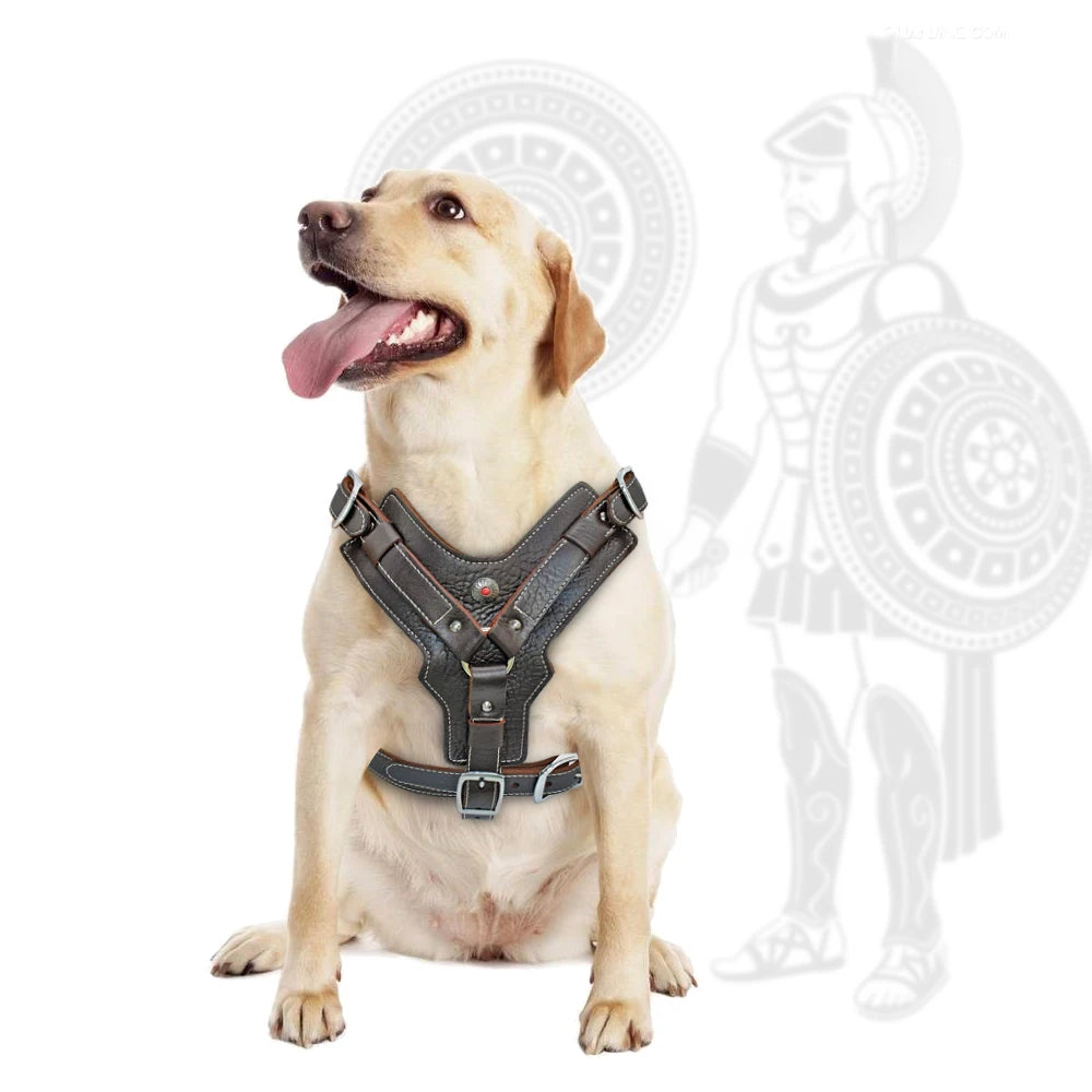 Genuine Leather Dog Harness – Durable Adjustable Large Dog Vest with Quick Control Handle &amp; Heavy-Duty Hardware (Pitbull, Bulldog, Labrador)