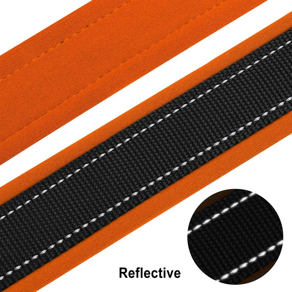 Adjustable Dog Collar - Personalized Reflective Padded Collar with Free Engraved ID Tag for Small, Medium & Large Dogs (Pitbull, Pug & More)