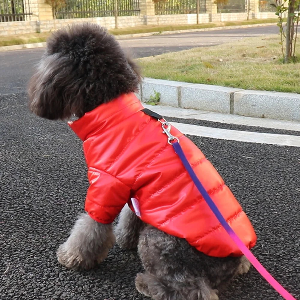 Winter Waterproof Dog Jacket – PU Leather Puffer Coat for Small & Medium Dogs (Chihuahua, Yorkie, French Bulldog)
