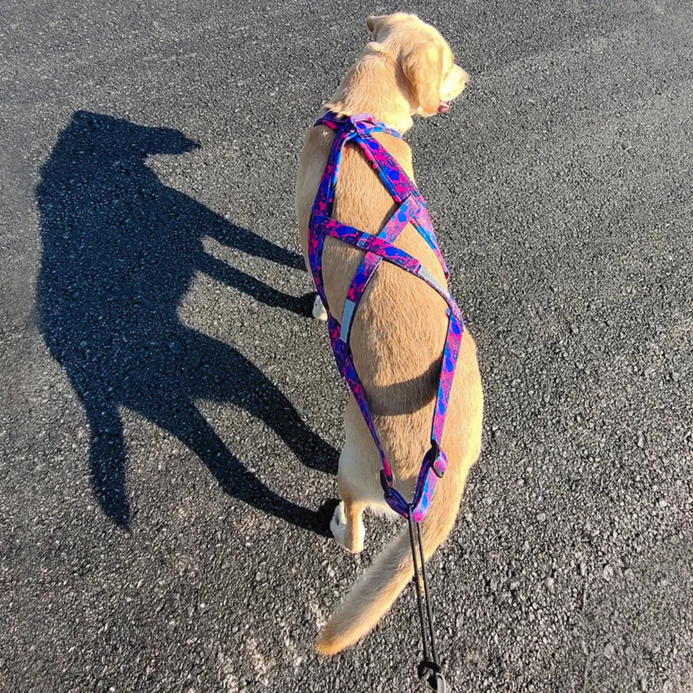Big Dog Sledding Harness – Reflective X-Back Weight Pulling Harness for Medium & Large Dogs (Husky, Canicross, Skijoring, Bikejoring, Scootering)