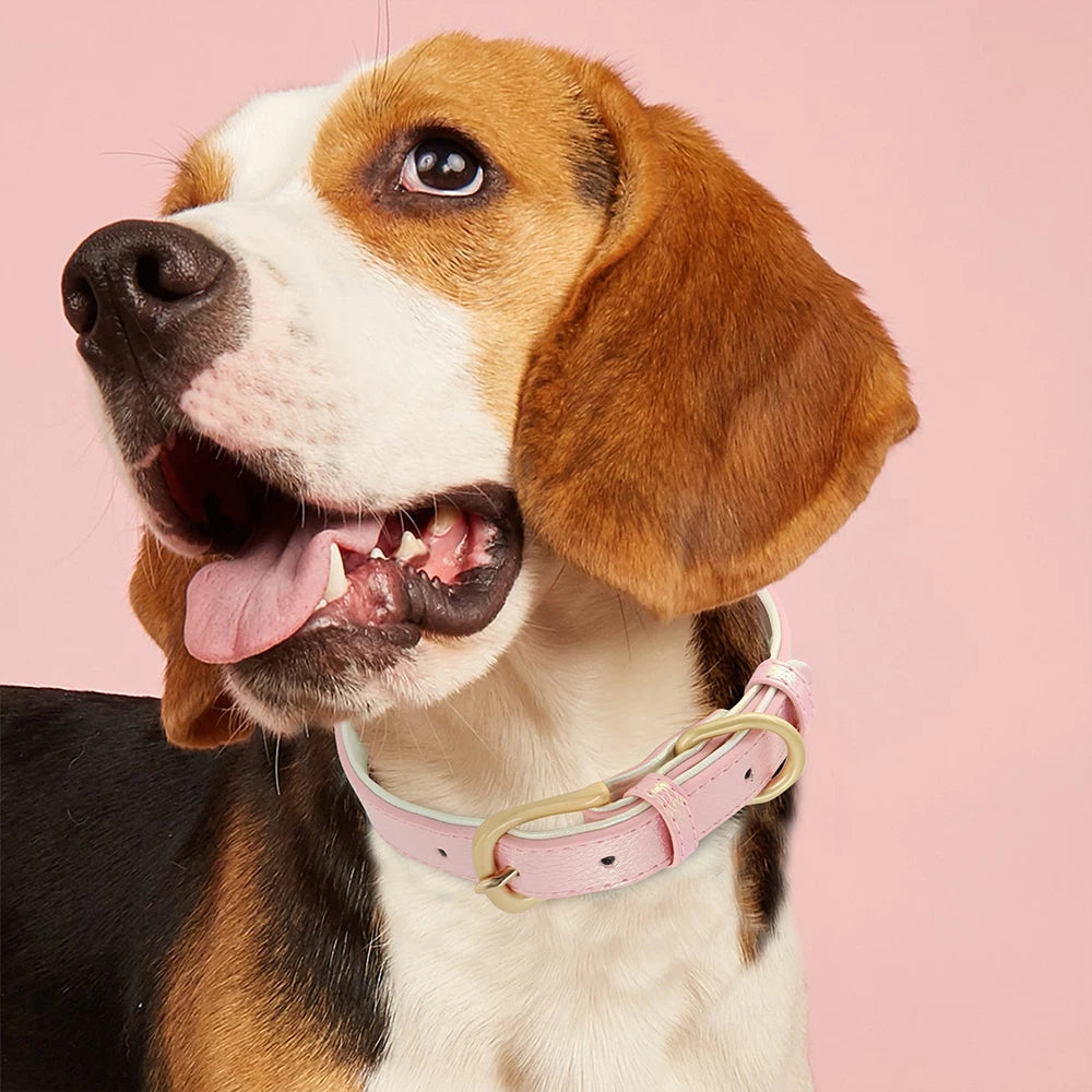 Personalized Leather Dog Collar – Custom Engraved Nameplate ID Tag for Small, Medium & Large Dogs