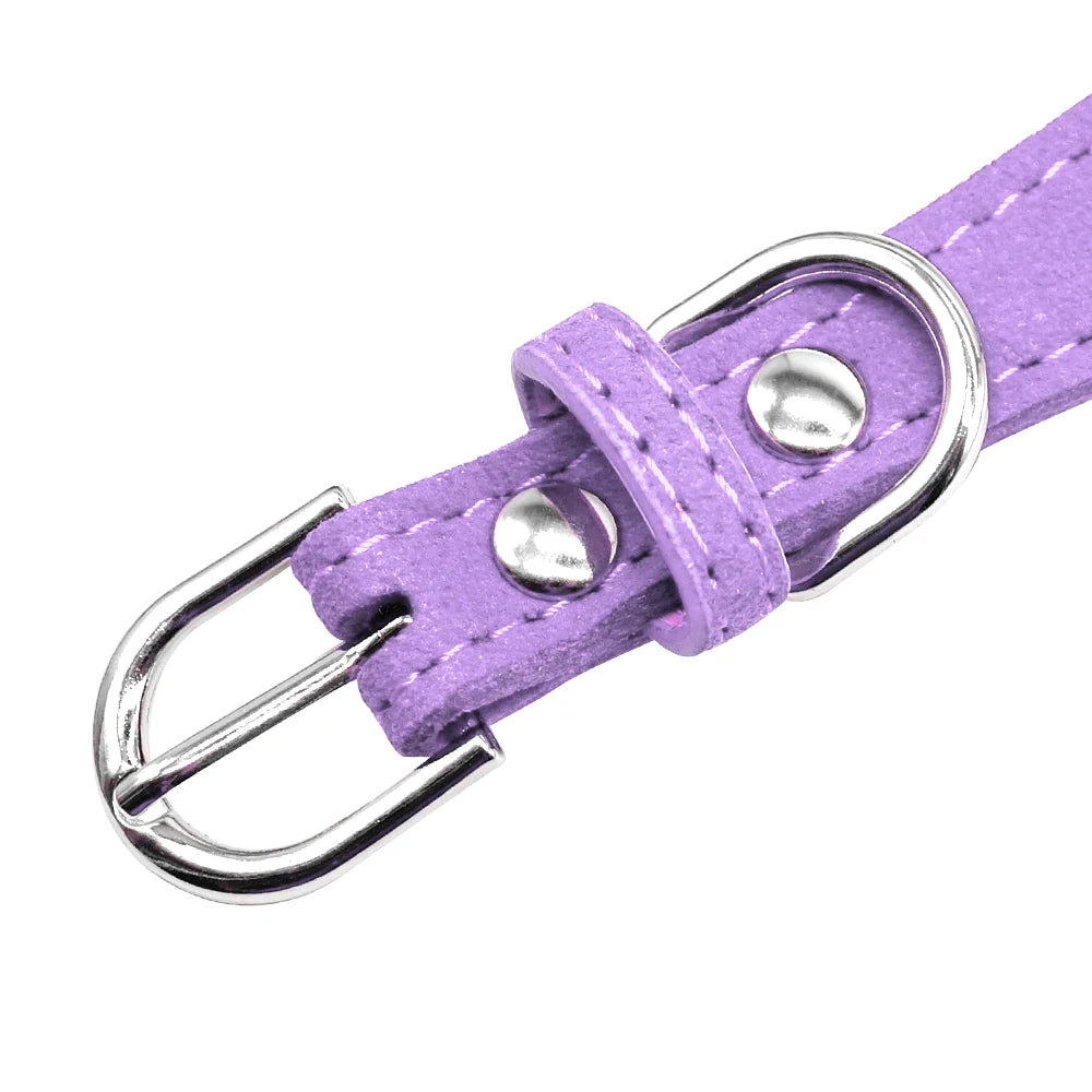 Bling Rhinestone Dog Collar with Bowknot – Adjustable Suede Collar for Small & Medium Pets