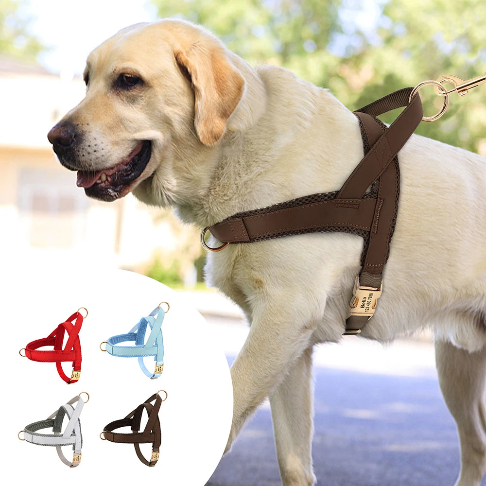 Personalized Dog Harness – Adjustable Engraved Mesh & Leather Vest for Small, Medium & Large Dogs (XS–XL)