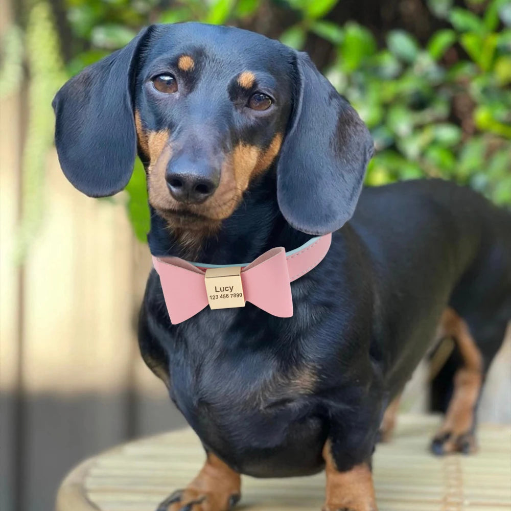 Personalized Dog Collar Customized Leather Pet ID Name Collar With Bowknot Free Engraved For Small Medium Dogs Cats Pet Supplies