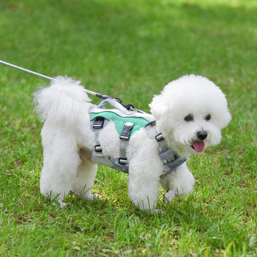 Summer Ice Cooling Dog Harness Vest Reflective Pet Harness Clothes for Small Medium Large Dogs Outdoor Pet Cool Down Jackets