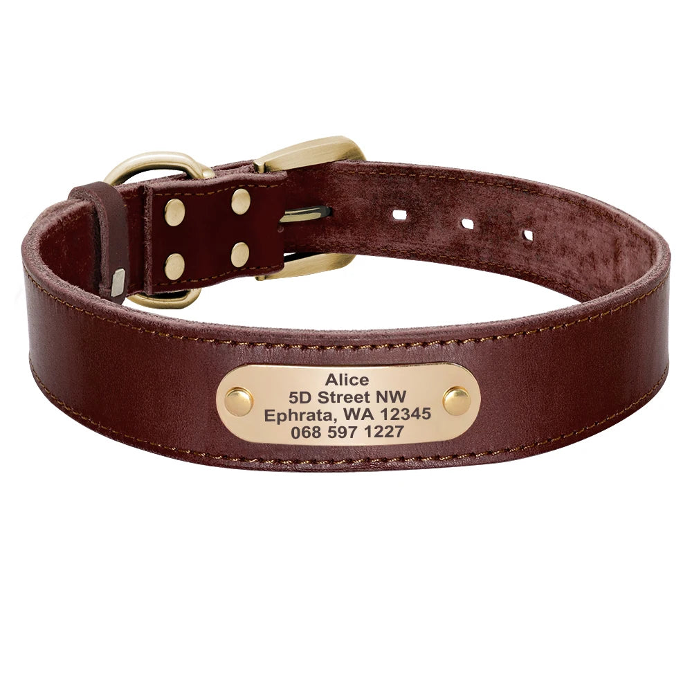 🦴 Custom Leather Dog Collar & Leash Set — Personalized for Safety & Style 🐾
