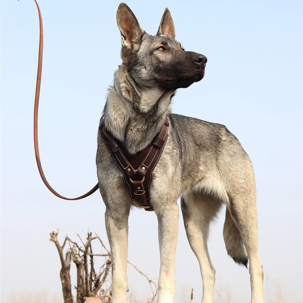 Durable Large Dog Harness Genuine Leather Dog Vest Harnesses Adjustable Quick Control With Handle Pet Supplies For Labrador