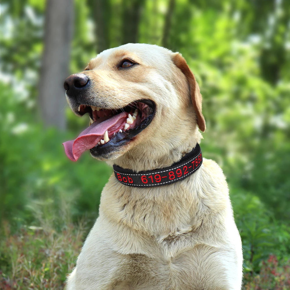 Personalized Embroidered Dog Collar – Reflective Nylon Adjustable ID Collar with Custom Name & Phone Number for Small, Medium & Large Dogs
