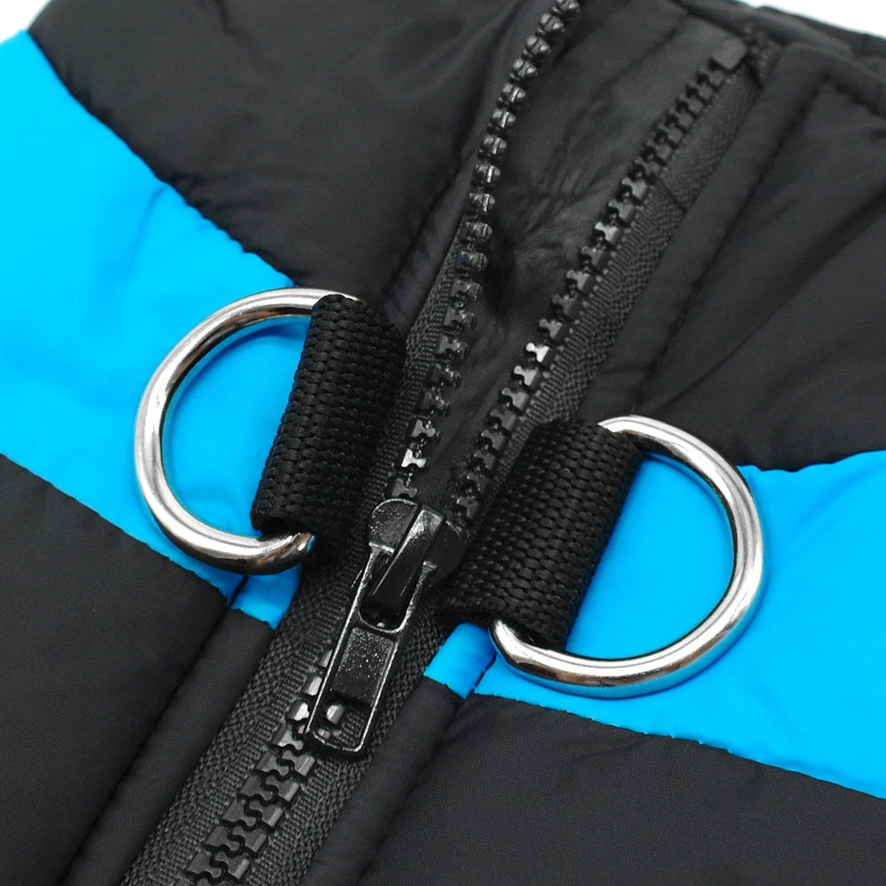 Large Dog Winter Jacket – Waterproof Padded Coat for French Bulldog, Labrador & Golden Retriever (2XL-7XL)