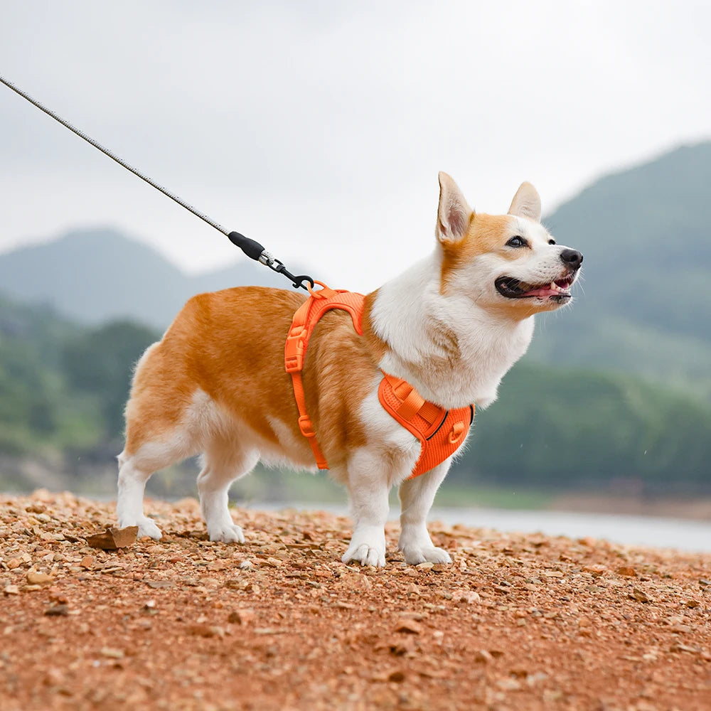 No Pull Nylon Mesh Dog Harness Breathable Pet Harnesses Vest For Medium Large Dogs Reflective Dog Chest Strap French Bulldog