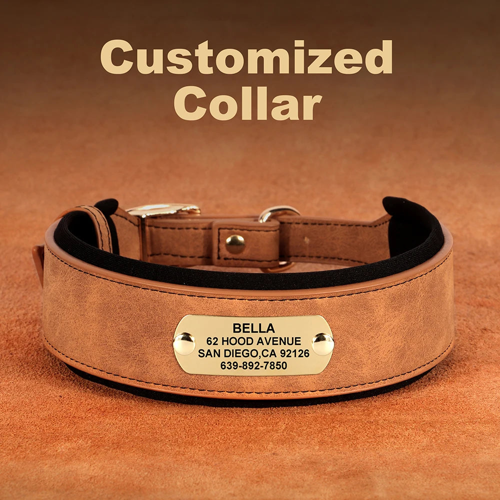 Customized Engraved Wide Leather Dog Collar – Soft Padded for Medium & Large Dogs