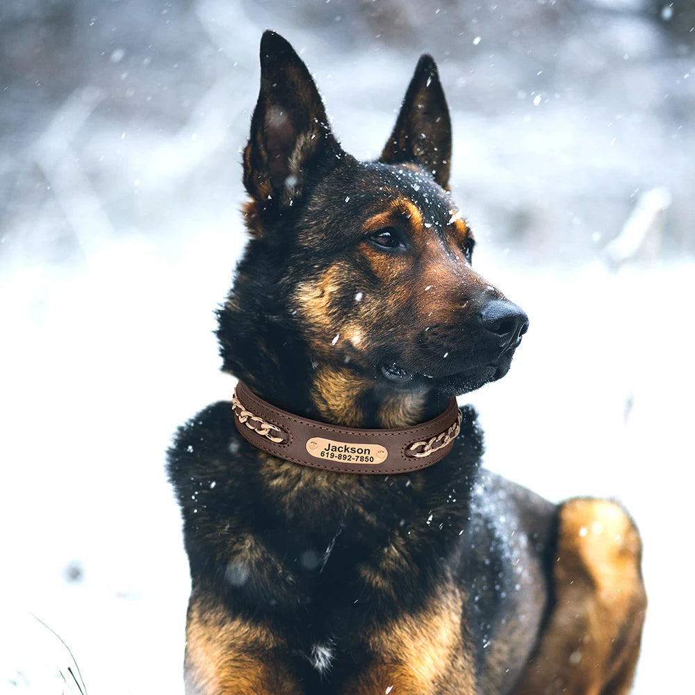 Personalized Leather Dog Collar – Custom Engraved Nameplate ID Tag for Small, Medium & Large Dogs