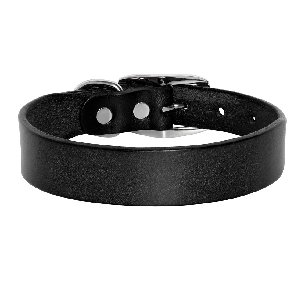 Genuine Leather Dog Collar & Leash Set – Adjustable for Small, Medium & Large Dogs and Cats (XS–XL)