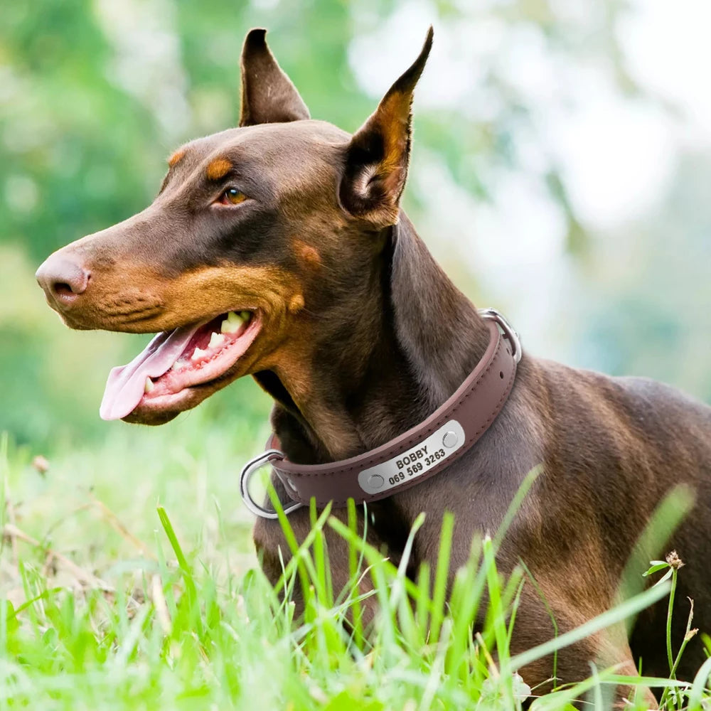 Custom Dog Collar – Personalized ID Tag Collar for Small, Medium, and Large Dogs