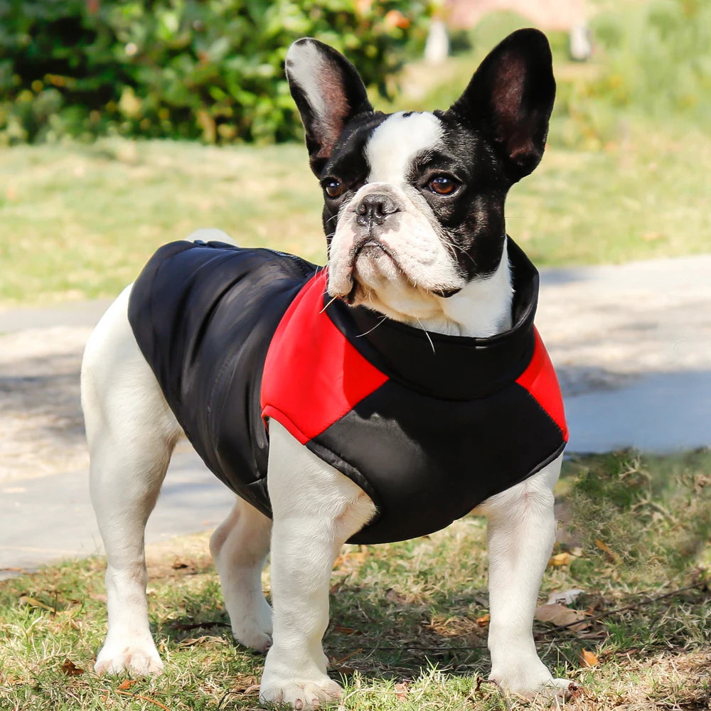 XL–7XL Warm Dog Winter Vest – Waterproof Puffer Coat for Large Breeds