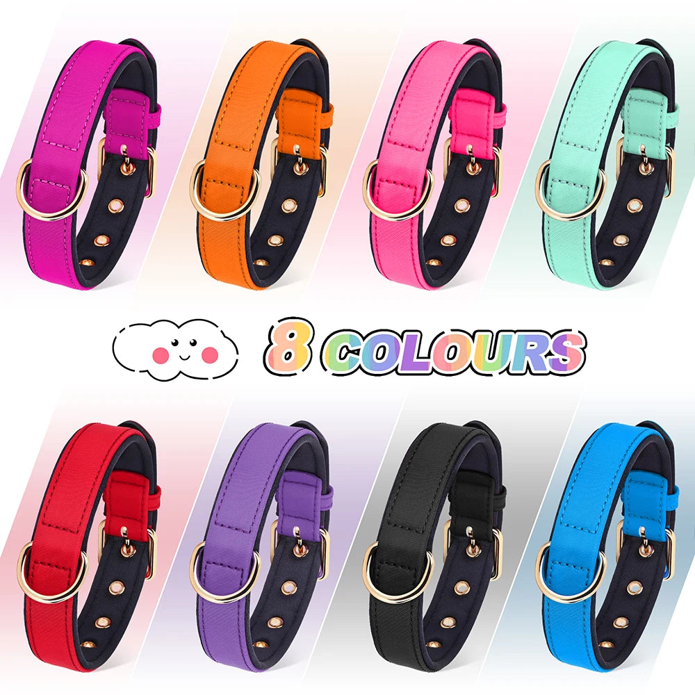 Waterproof Nylon Dog Collar – Soft Padded & Breathable Adjustable Collar for Small & Medium Dogs