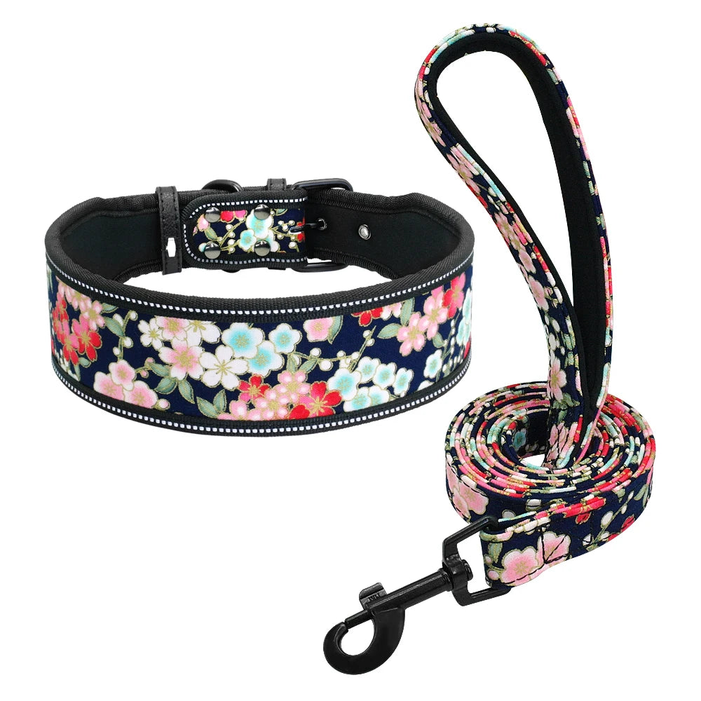 Reflective Padded Dog Collar & Leash Set – Fashionable, Adjustable, Comfortable