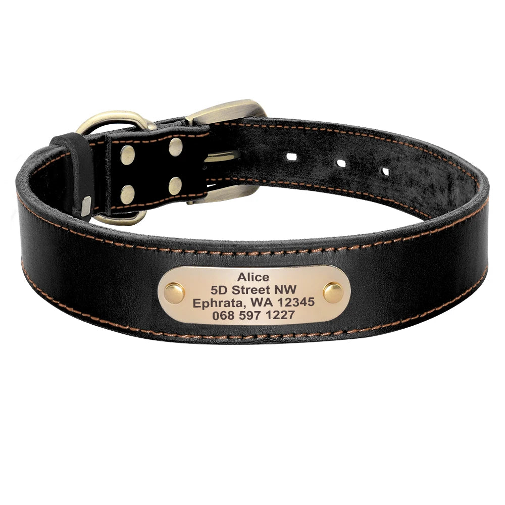 🦴 Custom Leather Dog Collar & Leash Set — Personalized for Safety & Style 🐾