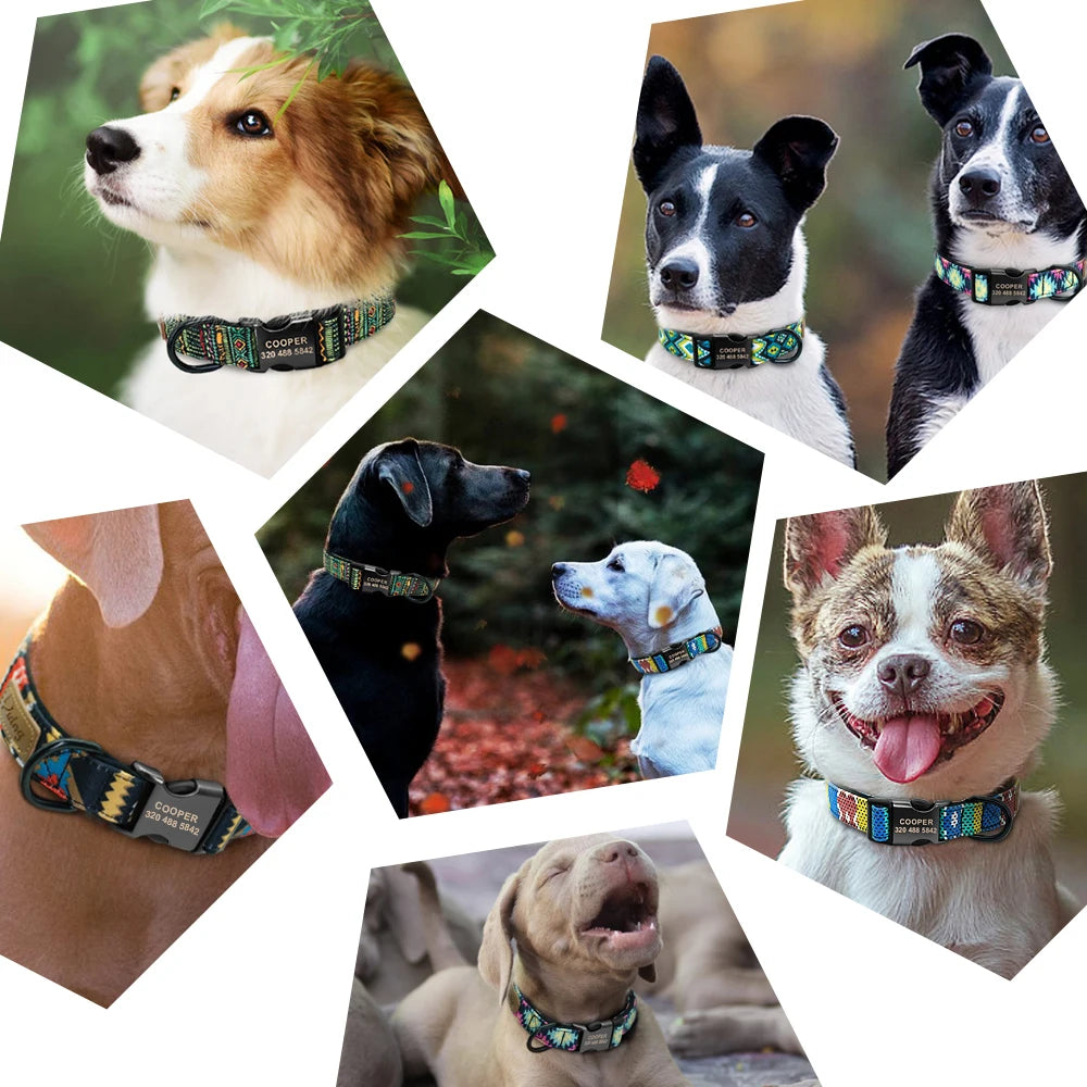 Personalized Nylon Dog Collar – Custom Engraved ID Buckle Collar with Plaid Print for Small, Medium & Large Dogs