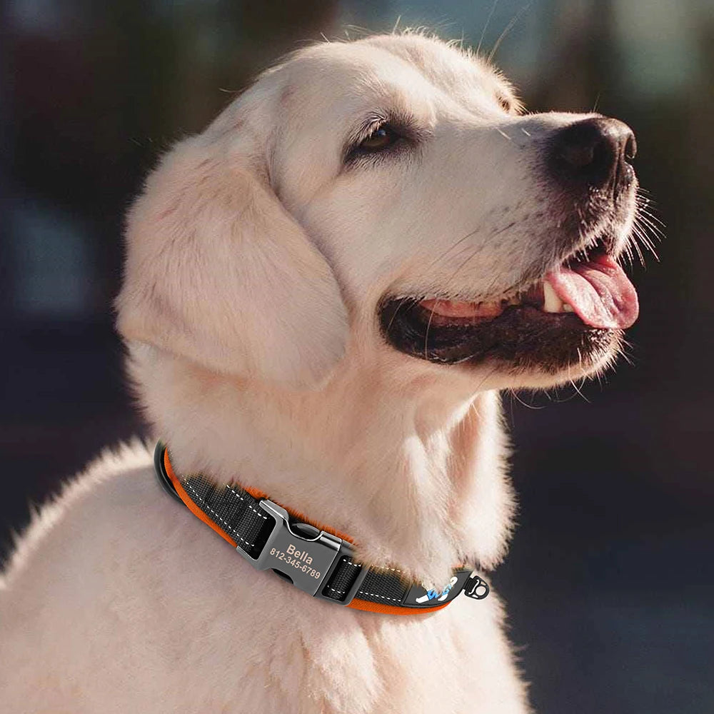 Adjustable Dog Collar - Personalized Reflective Padded Collar with Free Engraved ID Tag for Small, Medium & Large Dogs (Pitbull, Pug & More)