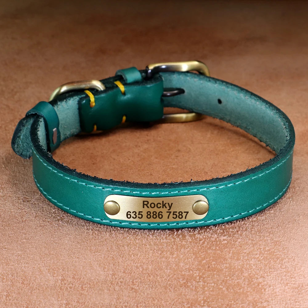 Custom Dog Collar – Personalized ID Tag Collar for Small, Medium, and Large Dogs